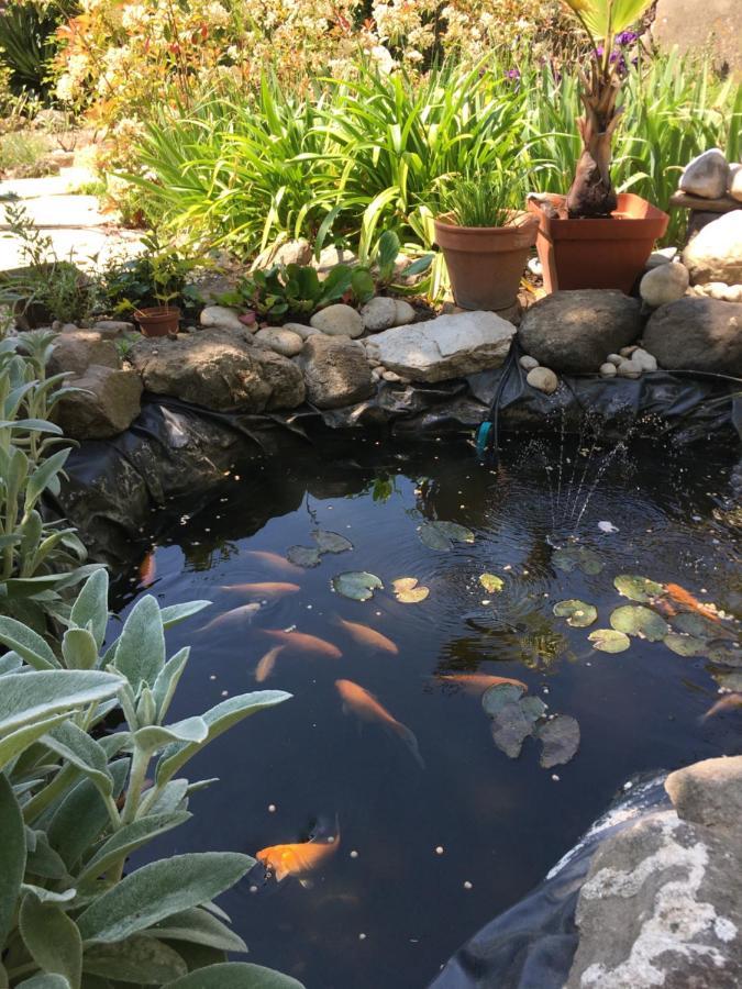 Garden Annexe Villa Вилньов Любе Екстериор снимка